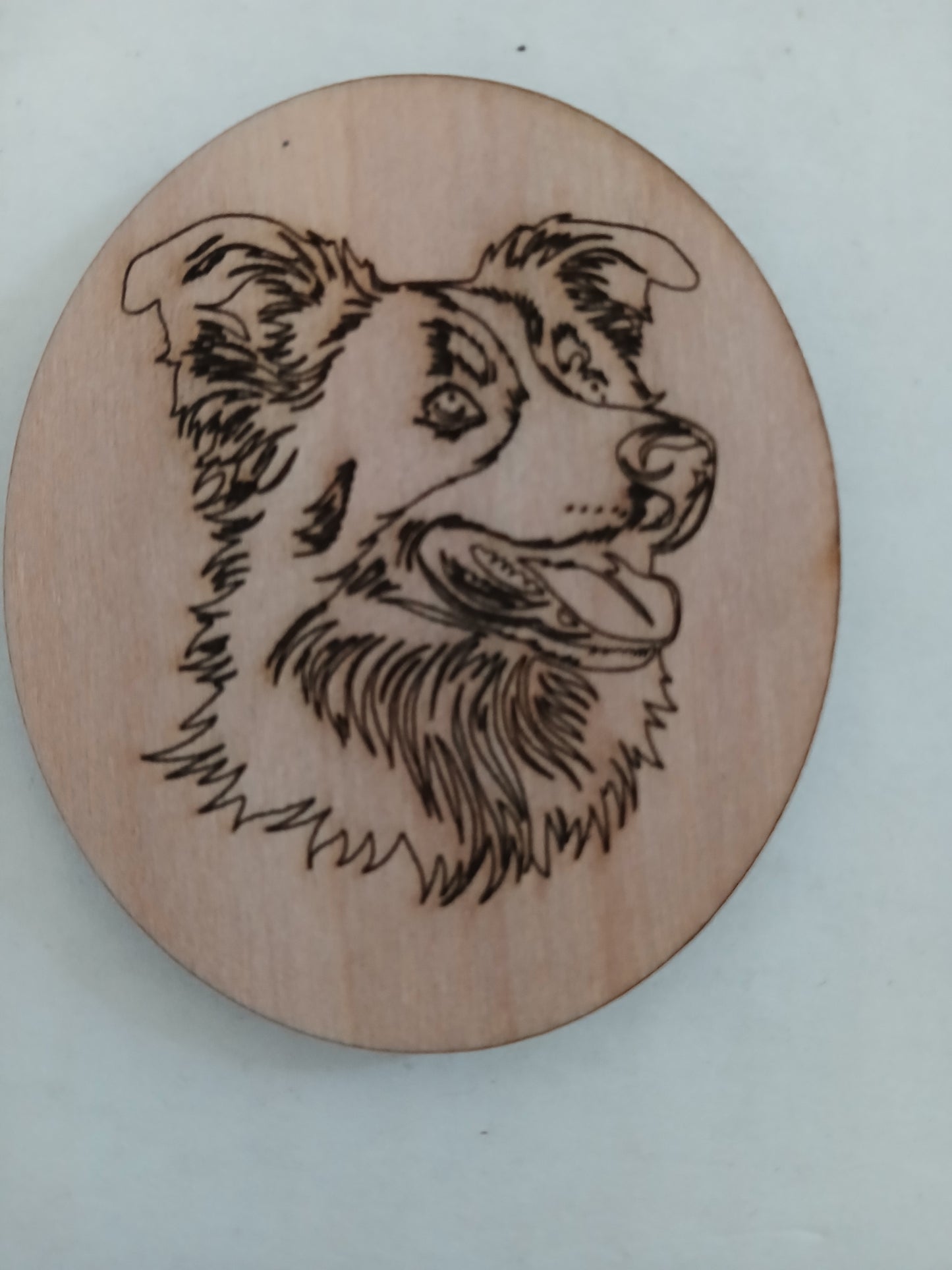 2702 - Australian Shepherd