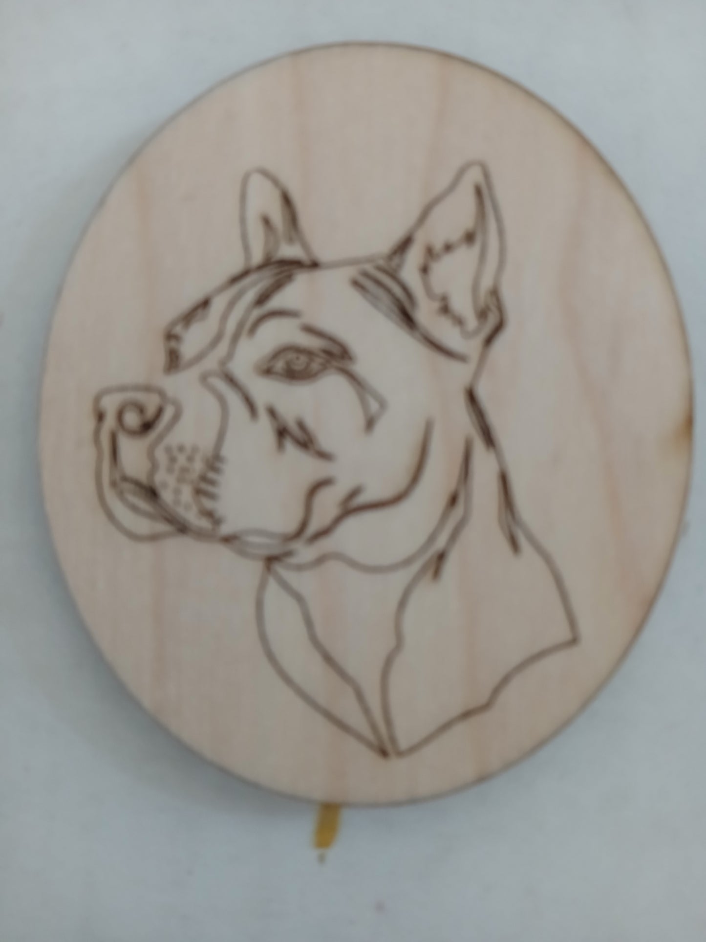 2701 - American Bully (uncropped)